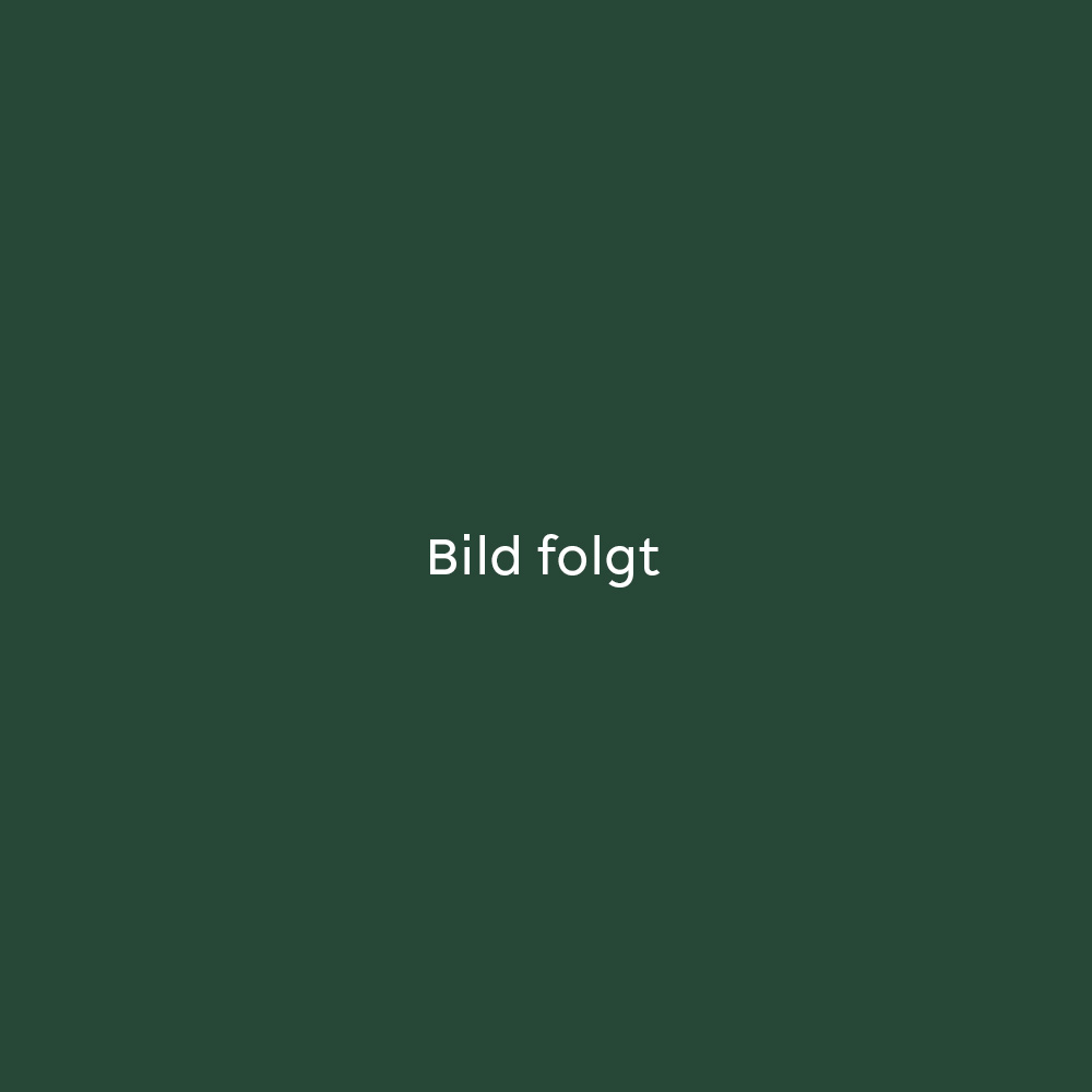 Bild folgt - Platzhalter