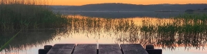 MV-Ferienhäuser am Fleesensee
